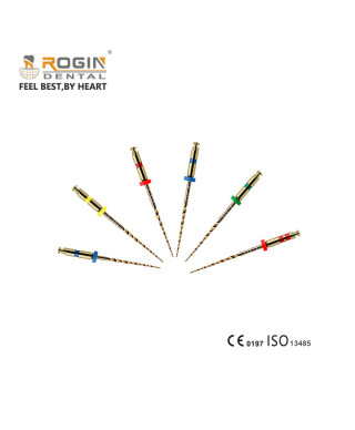 Rogin Super Flexi Files 31mm