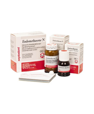 SEPTODONT -Endomethason N set