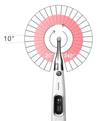 Woodpecker Ai Motor