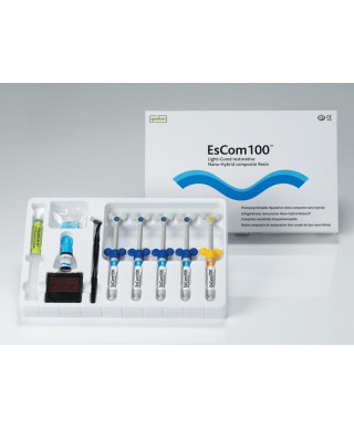 EsCom100 System Kit